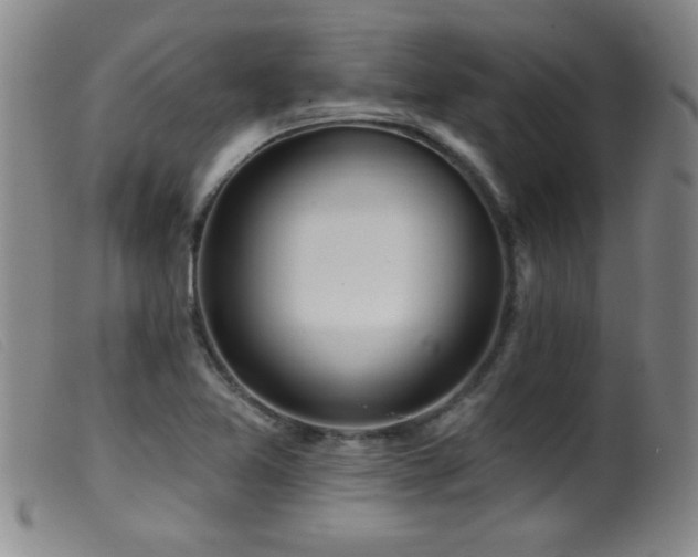 X0000099541365200805161417