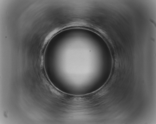 X0000099541366200805161417
