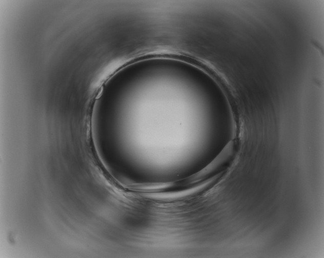 X0000099541367200805161417