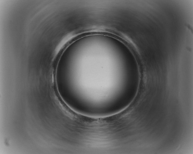 X0000099541368200805161417