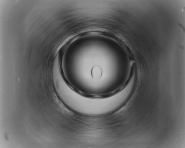 X0000099541369200805161417