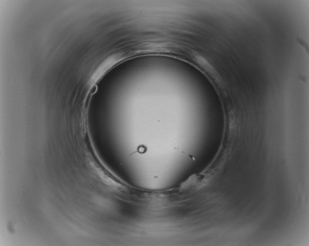 X0000099541370200805161417