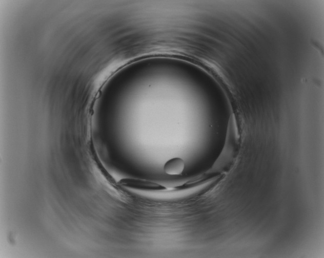 X0000099541371200805161417