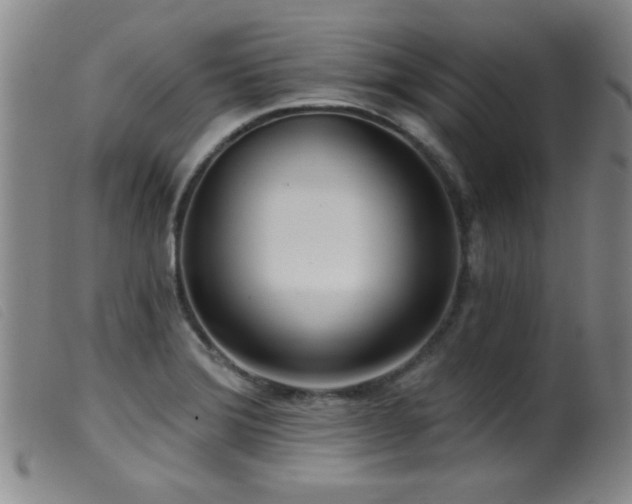 X0000099541372200805161417