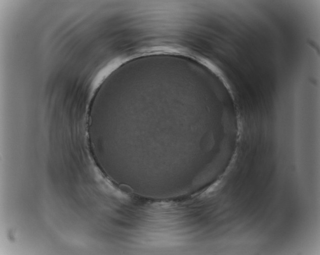 X0000099541373200805161417