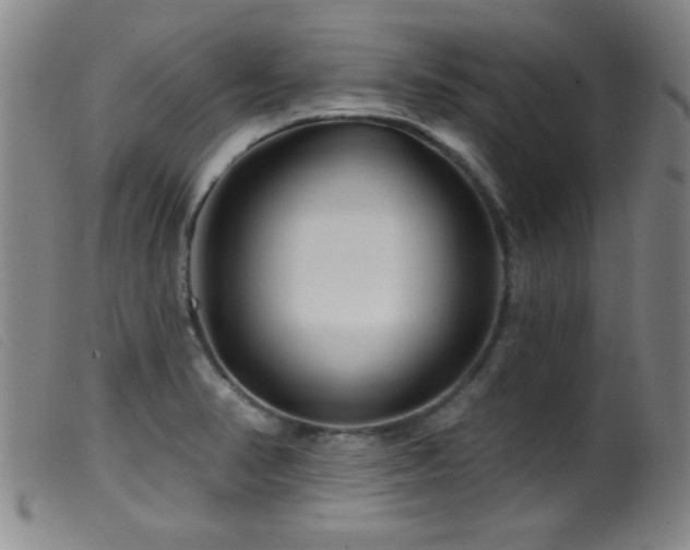 X0000099541374200805161417