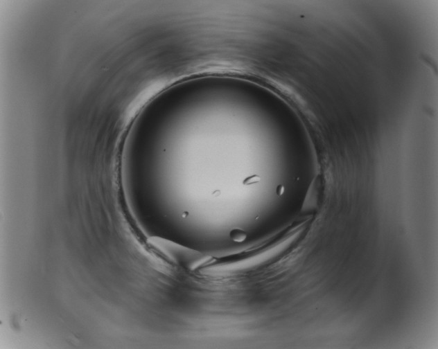 X0000099541375200805161417