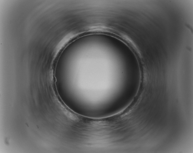 X0000099541376200805161417