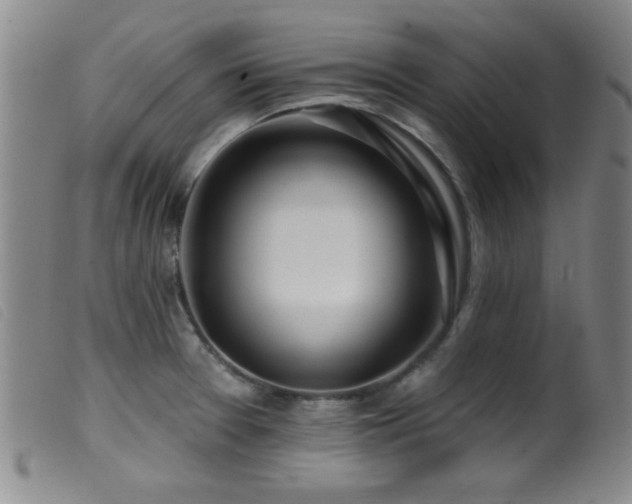 X0000099541377200805161417