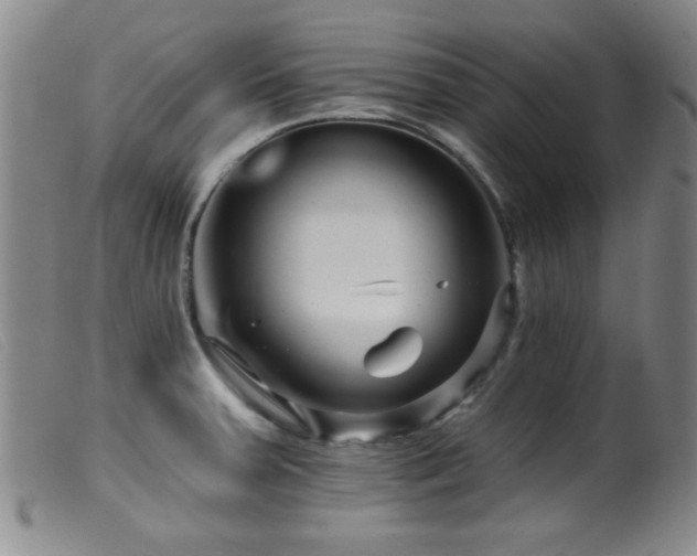 X0000099541379200805161417