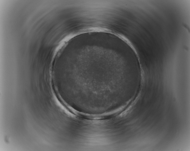 X0000099541381200805161417