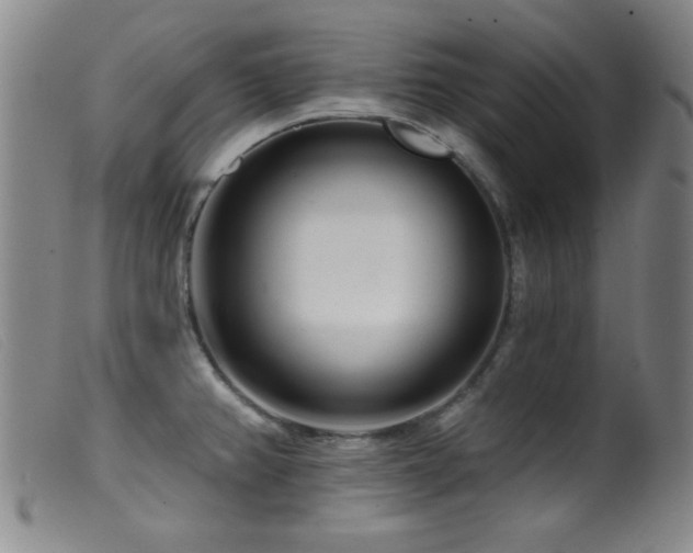 X0000099541382200805161417