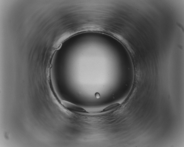 X0000099541383200805161417