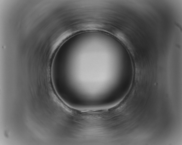 X0000099541384200805161417