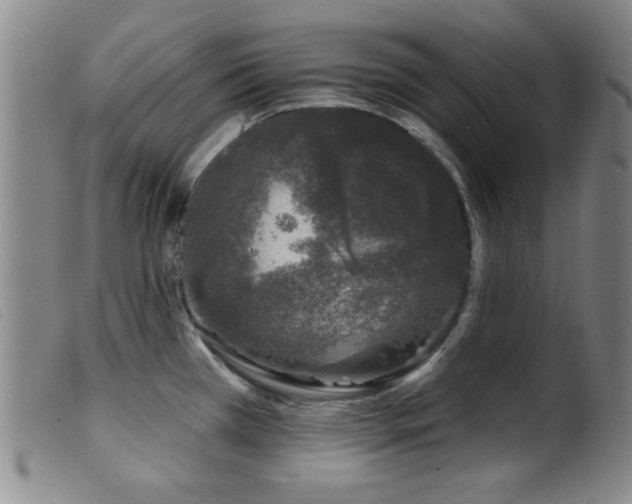 X0000099541385200805161417