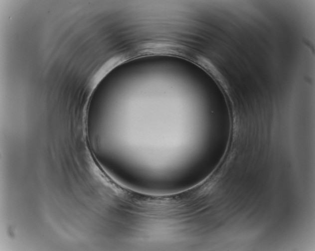 X0000099541386200805161417