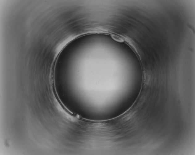 X0000099541387200805161417