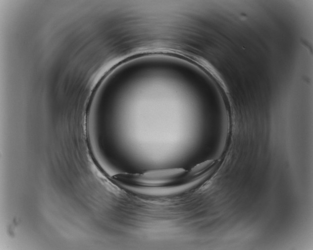 X0000099541388200805161417