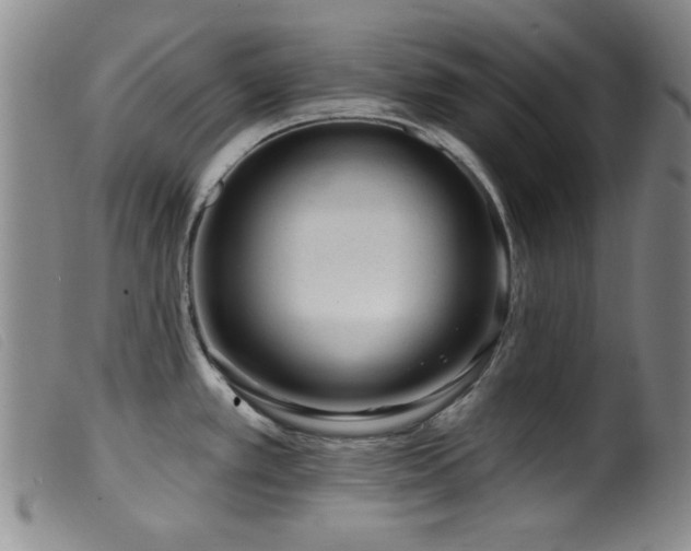 X0000099541389200805161417