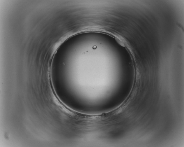 X0000099541390200805161417