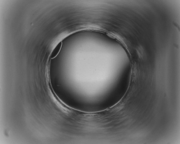 X0000099541391200805161417