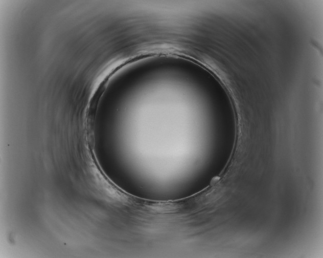 X0000099541392200805161417