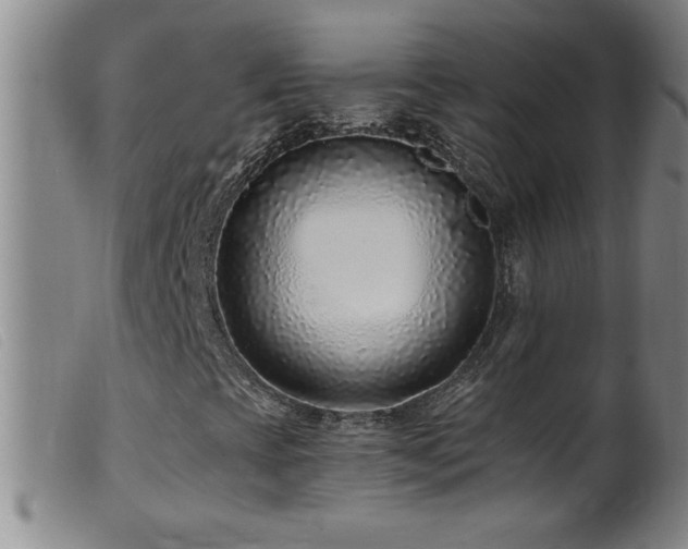 X0000099541393200805161416