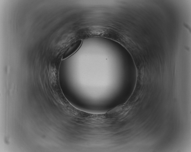 X0000099541394200805161416