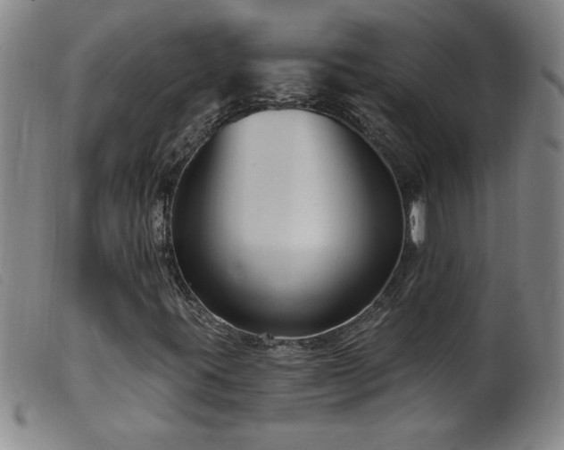 X0000099541395200805161416