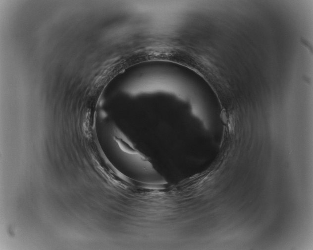 X0000099541396200805161416