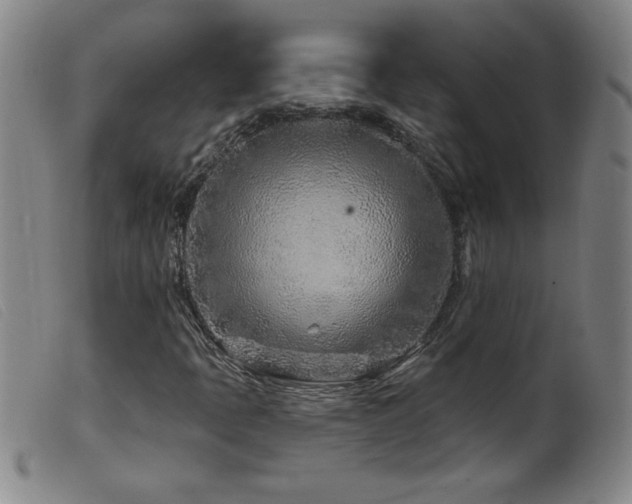 X0000099541397200805161416