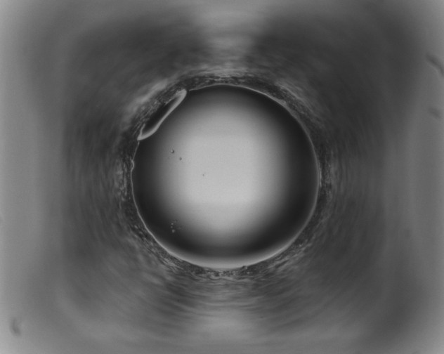 X0000099541398200805161416
