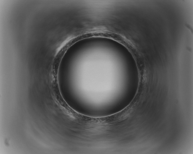 X0000099541400200805161416