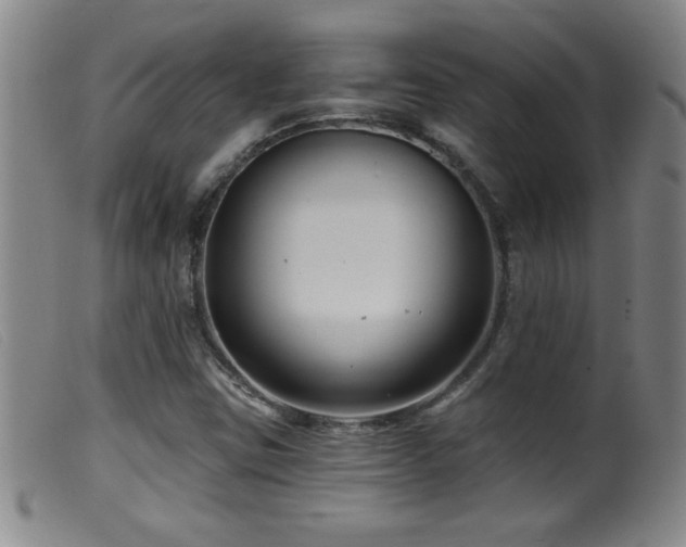 X0000099541403200805161416