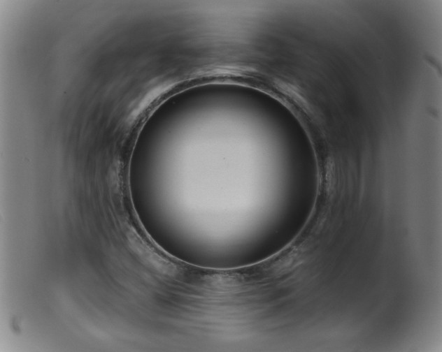 X0000099541404200805161416