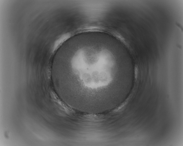 X0000099541405200805161416