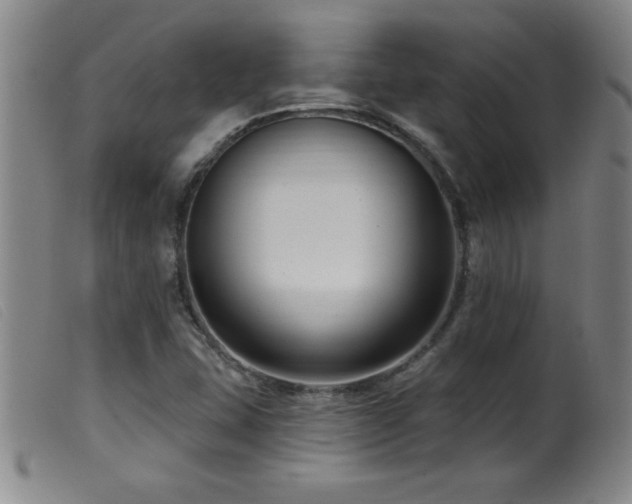 X0000099541407200805161416
