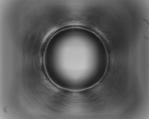 X0000099541408200805161416