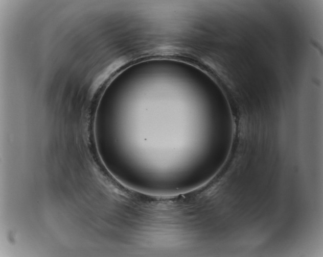 X0000099541410200805161416