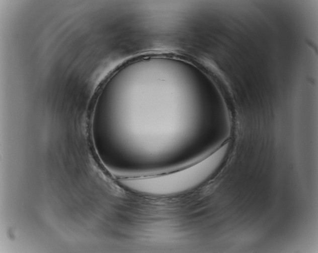X0000099541412200805161416
