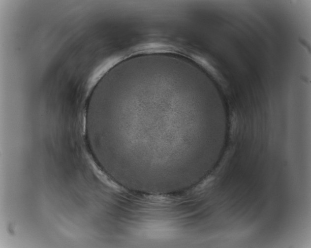 X0000099541413200805161417