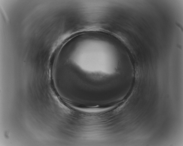 X0000099541414200805161417