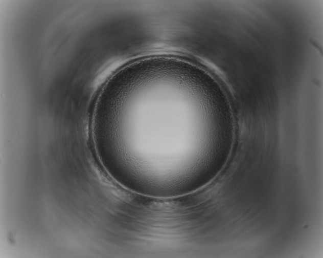 X0000099541415200805161417