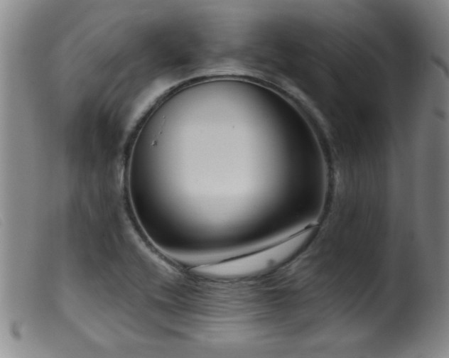 X0000099541416200805161417