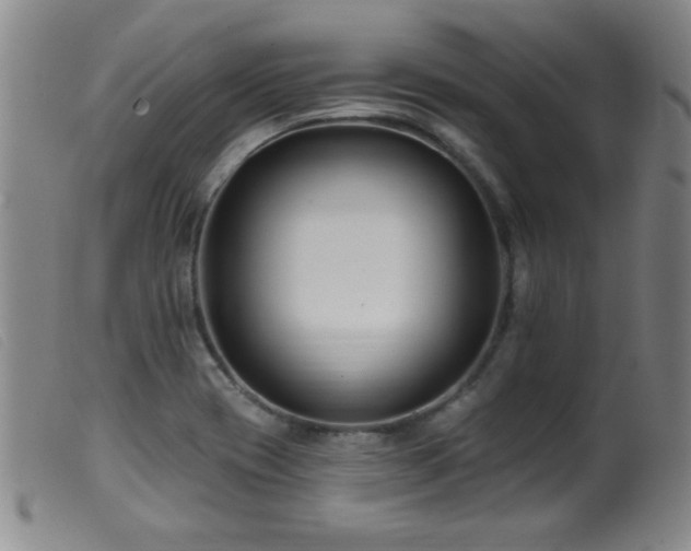 X0000099541417200805161417