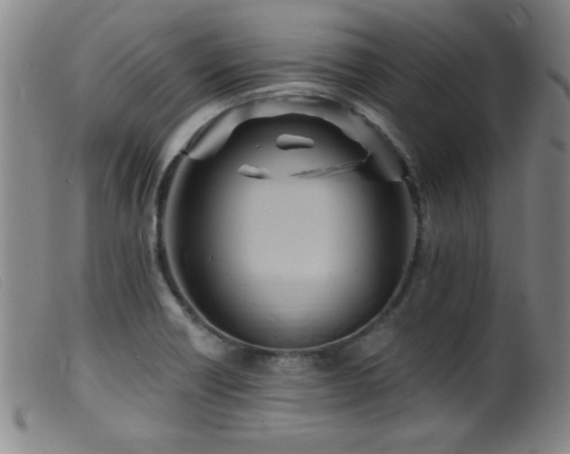 X0000099541418200805161417