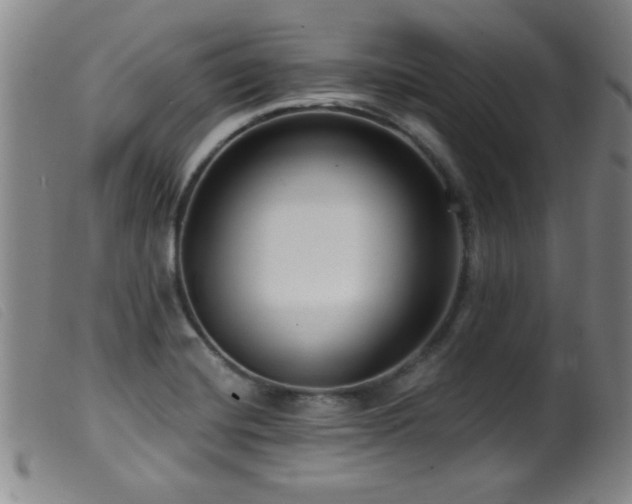 X0000099541420200805161417