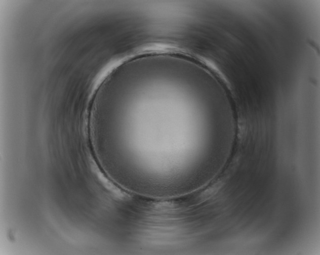 X0000099541421200805161417