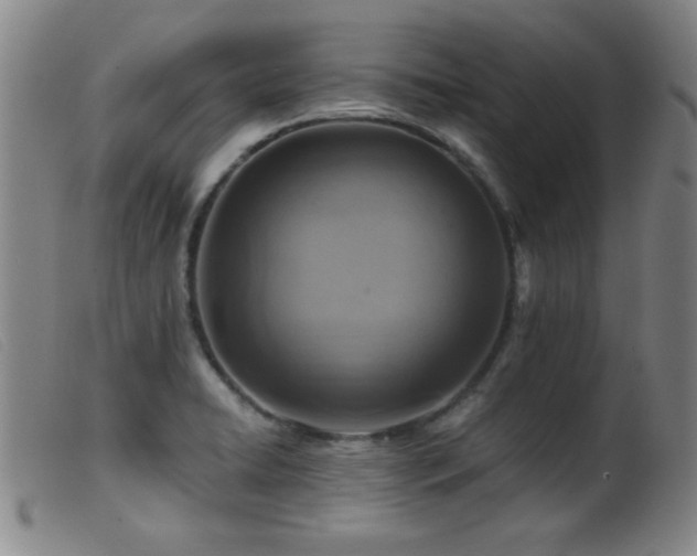 X0000099541422200805161417