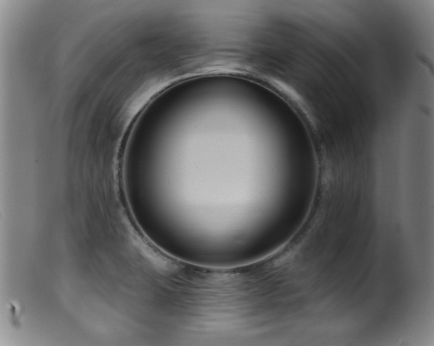 X0000099541423200805161417